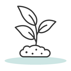 Cultivé biologiquement